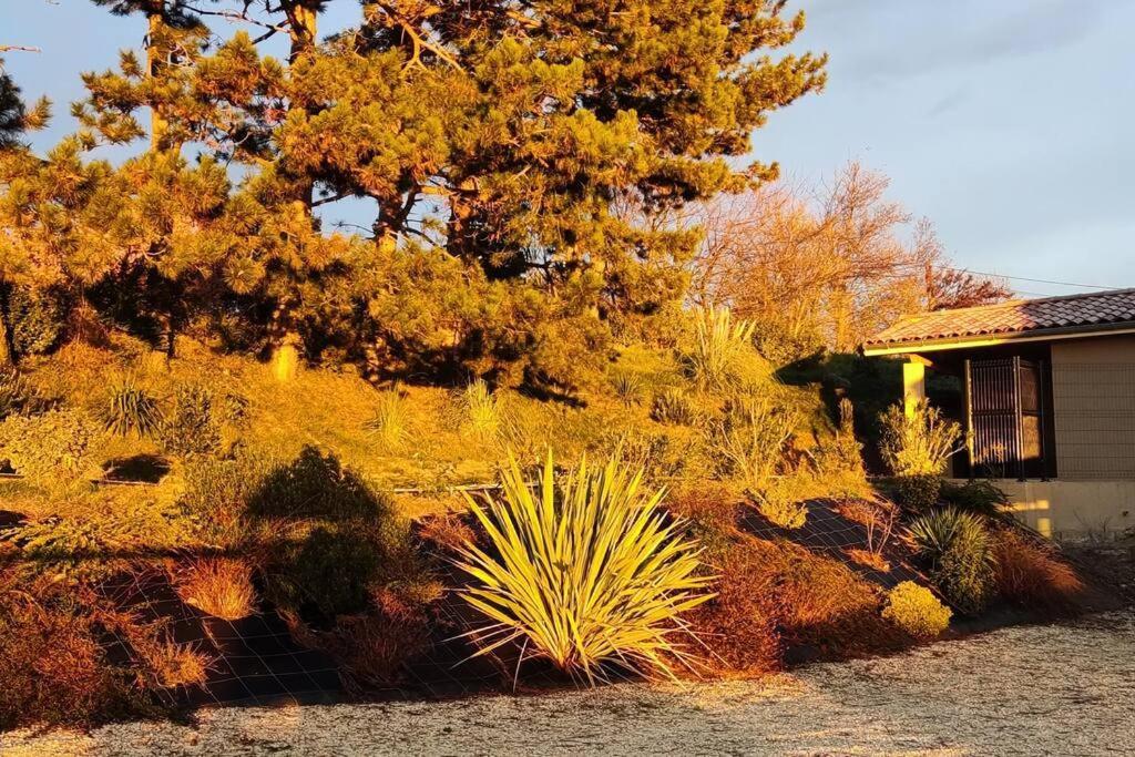 Vila Le Gite De La Vieille Pierre 'Climatise' Allex Exteriér fotografie