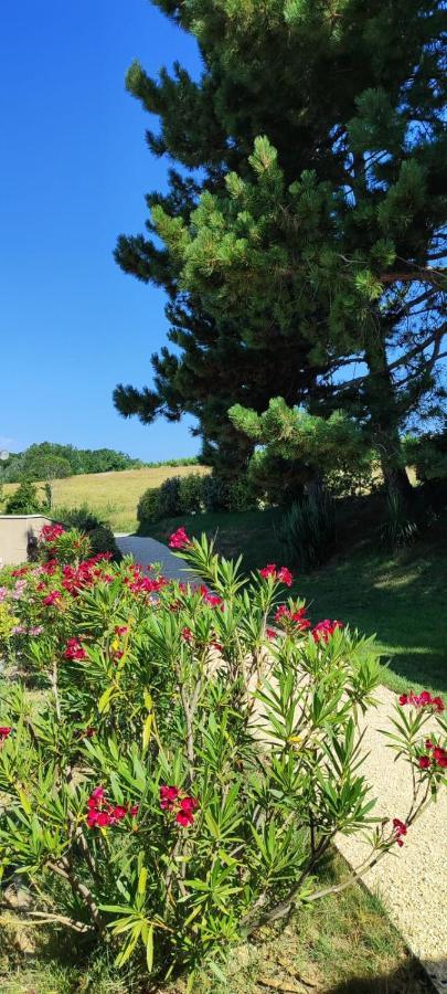 Vila Le Gite De La Vieille Pierre 'Climatise' Allex Exteriér fotografie